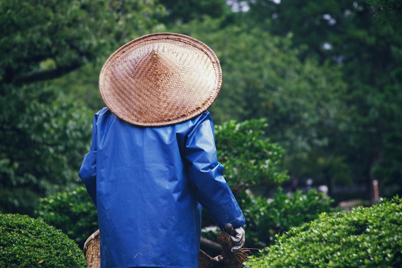 Pruning in the Garden
